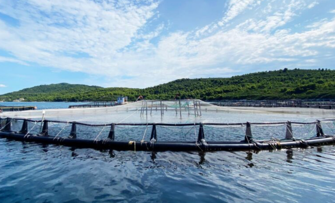 Eco-Material for aquaculture net impregantion, replacing antifouling <br><br>DIOPAS S.A.